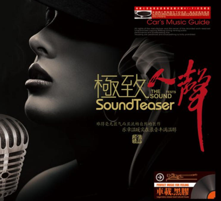 亳无匠气的自然巨作【极致人声】车载黑胶转制MP3专辑下载