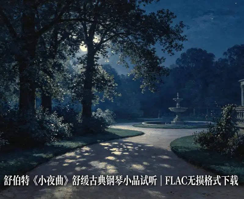 Franz Schubert 舒伯特《小夜曲》古典钢琴小品无损格式网盘下载