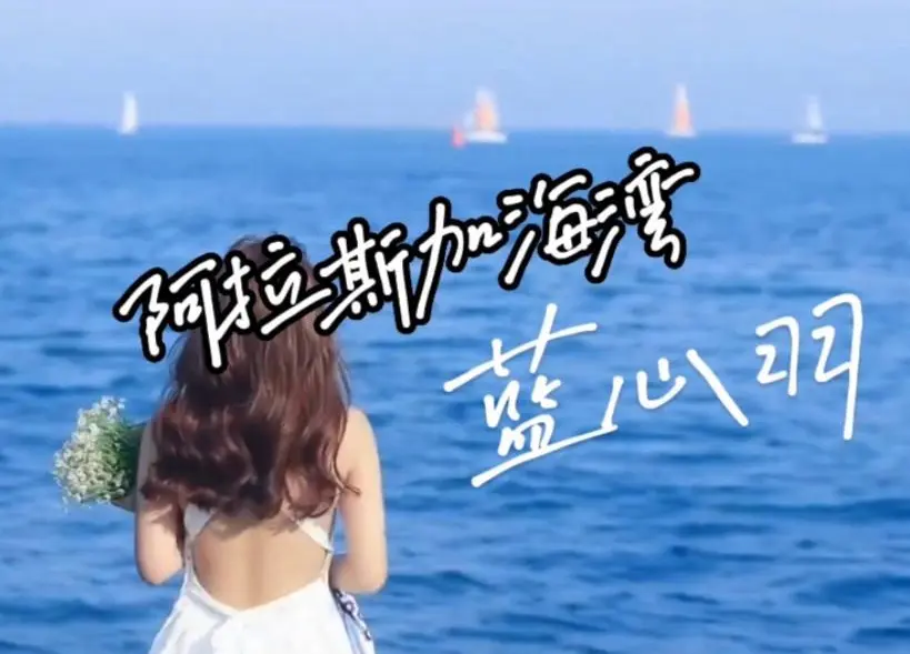 蓝心羽翻唱版《阿拉斯加海湾》｜深夜情绪安抚女声FLAC网盘下载