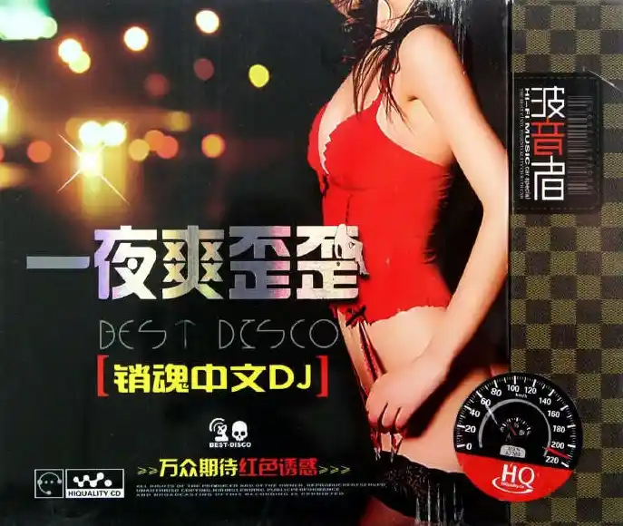 HQ资源《一夜爽歪歪销魂中文DJ》 WAV中文嗨曲无损专辑下载